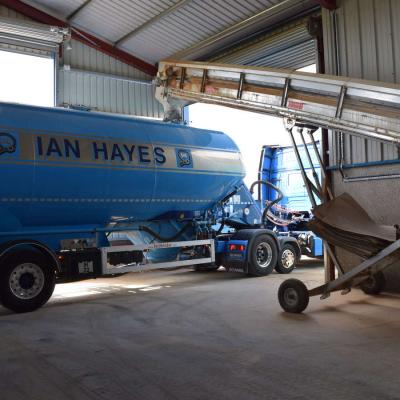 Ian Hayes Gallery 20 1